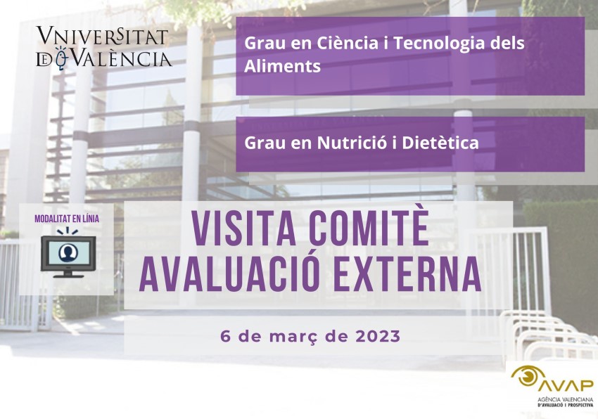Visit of the External Assessment Committee